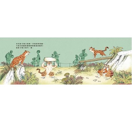 57號小豹